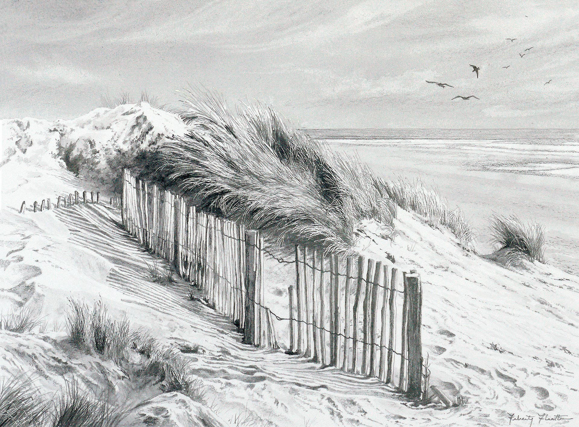 Drawing by Felicity Flutter