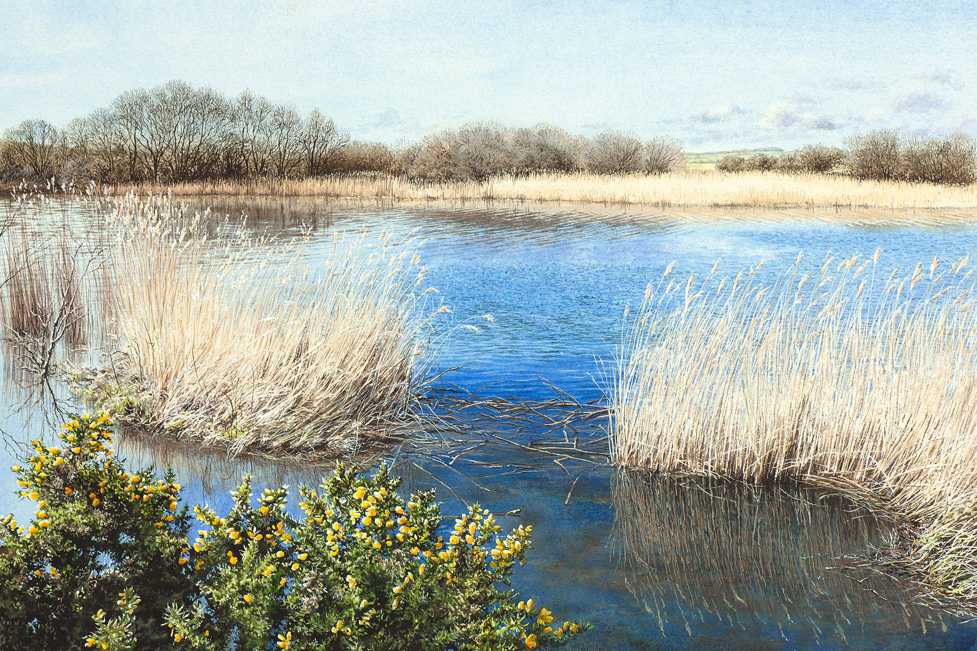 Lanscape painting by Felicity Flutter