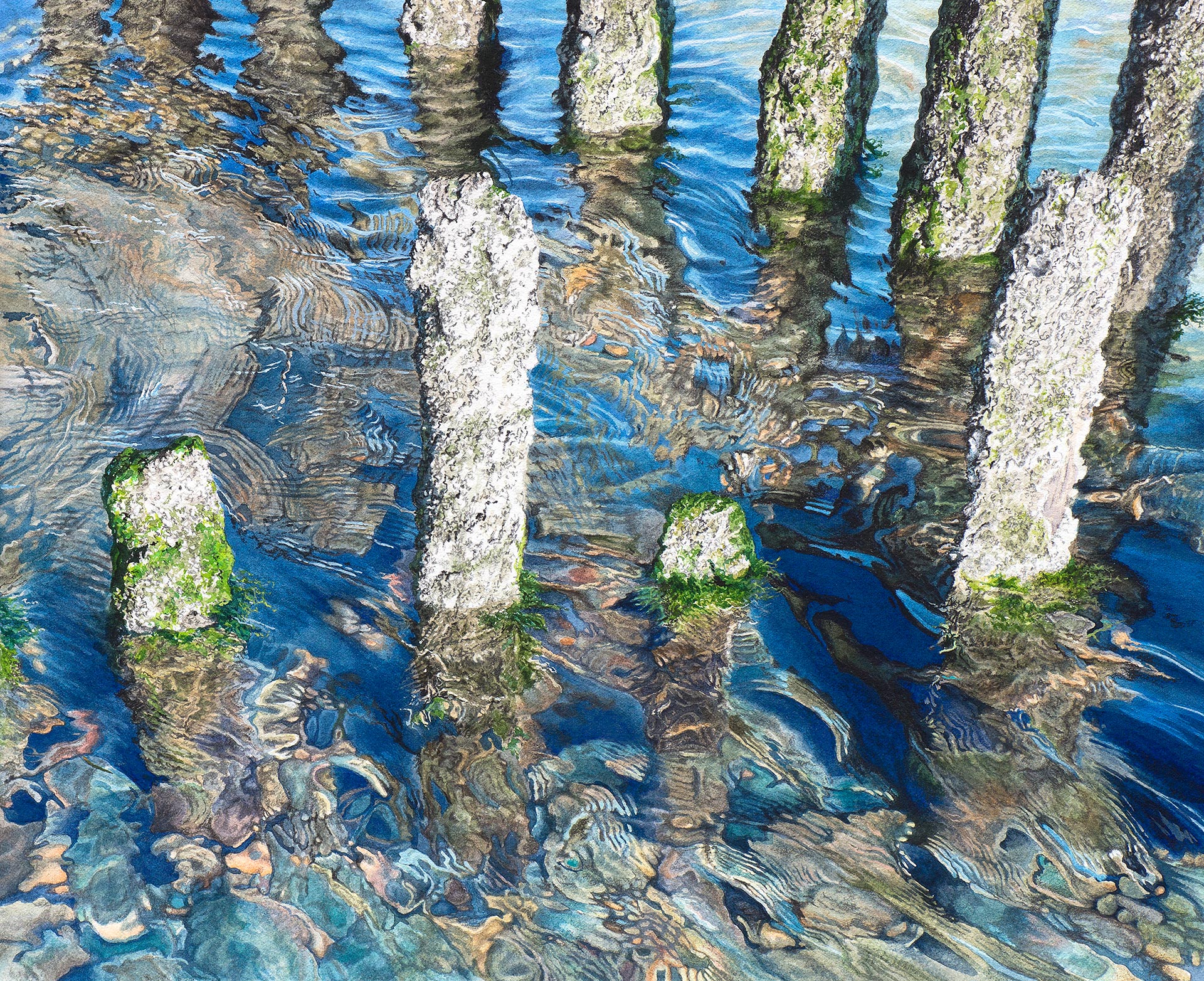 Rockpool. Painting by Felicity Flutter