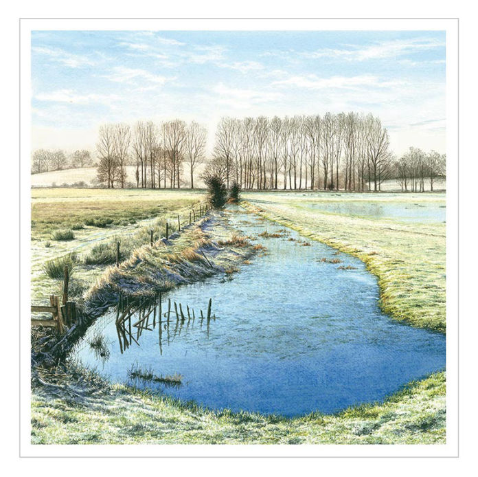 Winter Poplars by Felicity Flutter