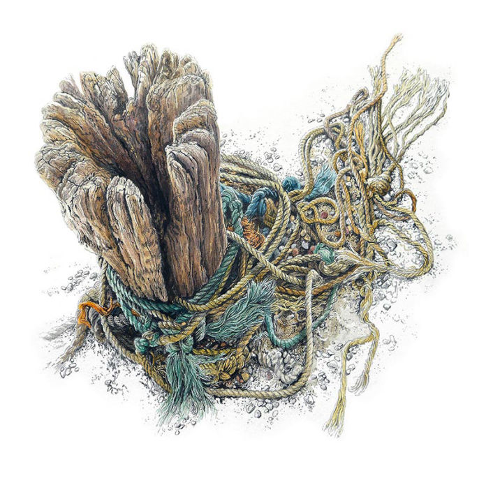 Load of Old Rope by Felicity Flutter