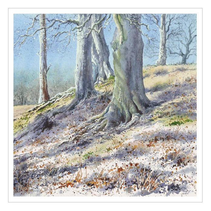 Winter Beeches by Felicity Flutter