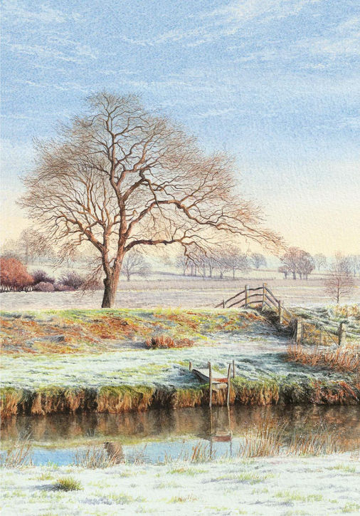 Frosty Riverbank by Felicity Flutter