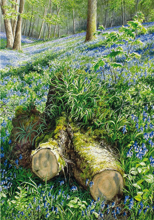 Sea of Bluebells by Felicity Flutter