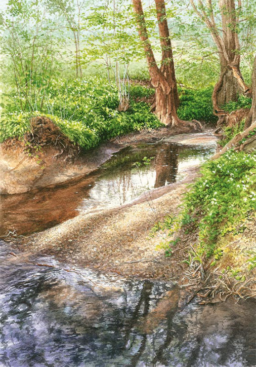 Woodland Stream by Felicity Flutter