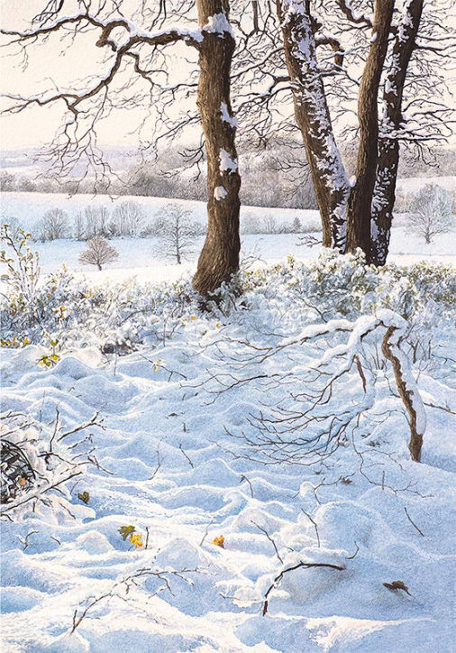 First Heavy Snow by Felicity Flutter
