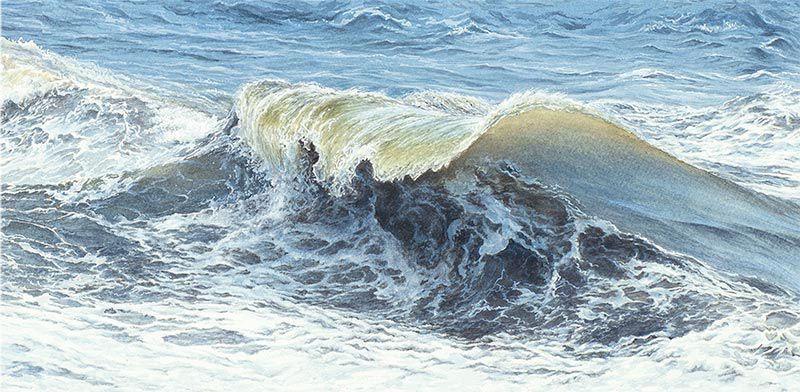 Storm Curl by Felicity Flutter