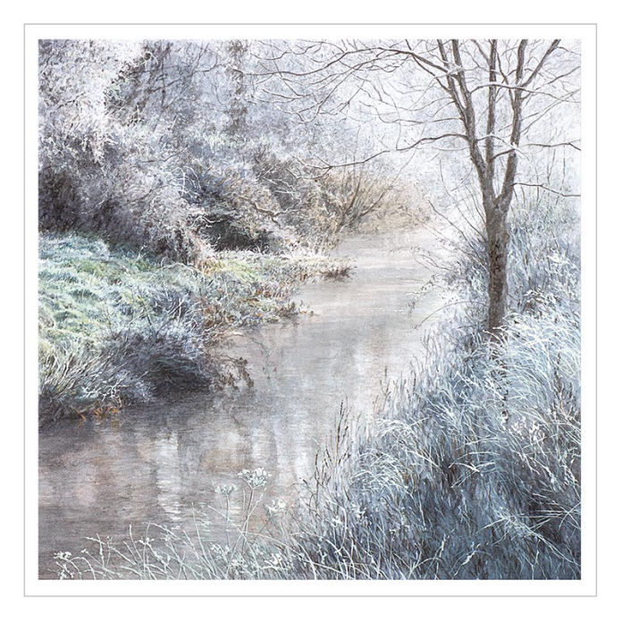 Frost Magic by Felicity Flutter