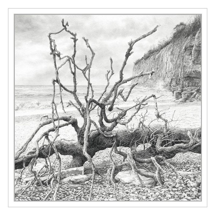 Driftwood Tree by Felicity Flutter