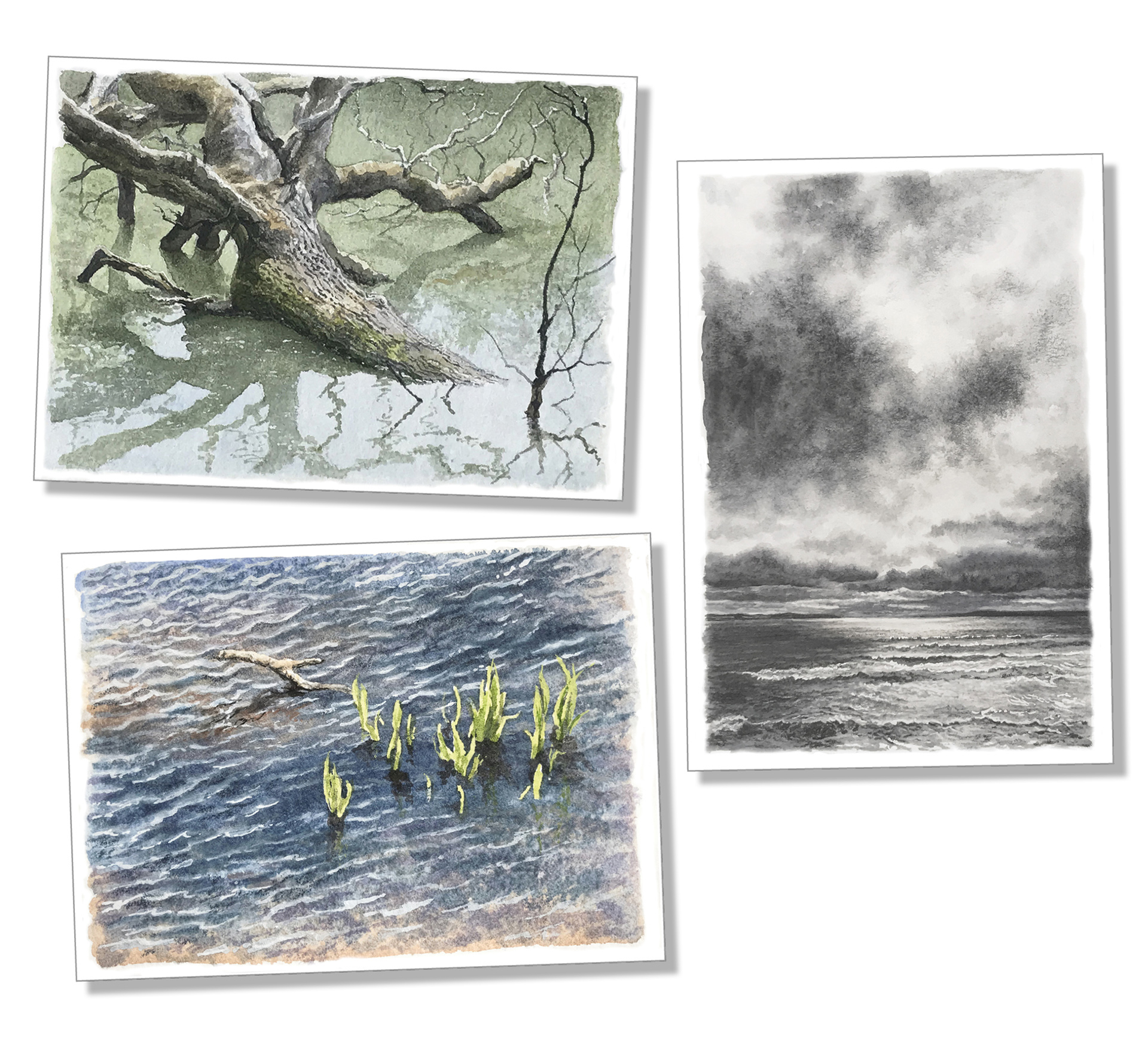 Sketchbook paintings by Felicity Flutter